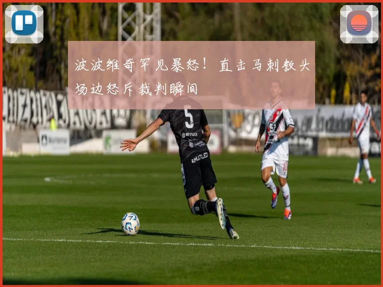 波波维奇罕见暴怒！直击马刺教头场边怒斥裁判瞬间