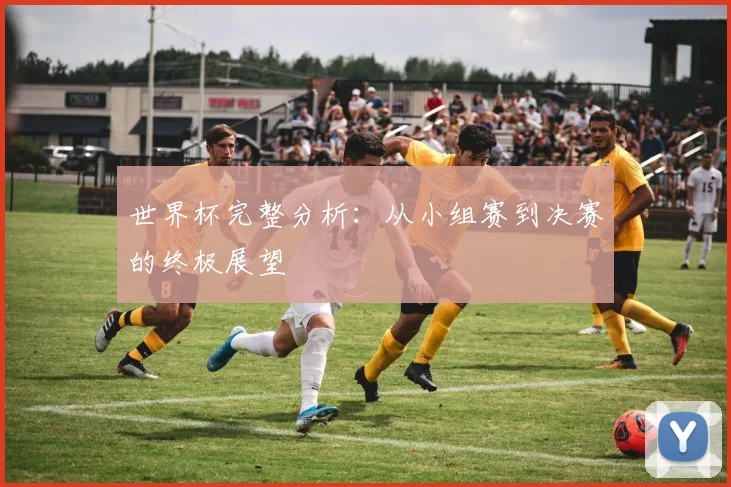 世界杯完整分析:从小组赛到决赛的终极展望